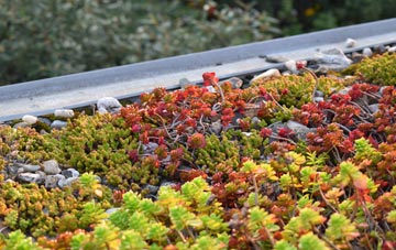 the cost of East Denton green roof installation