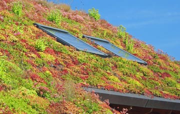 East Denton living roof systems