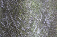 East Denton fibreglass roof work